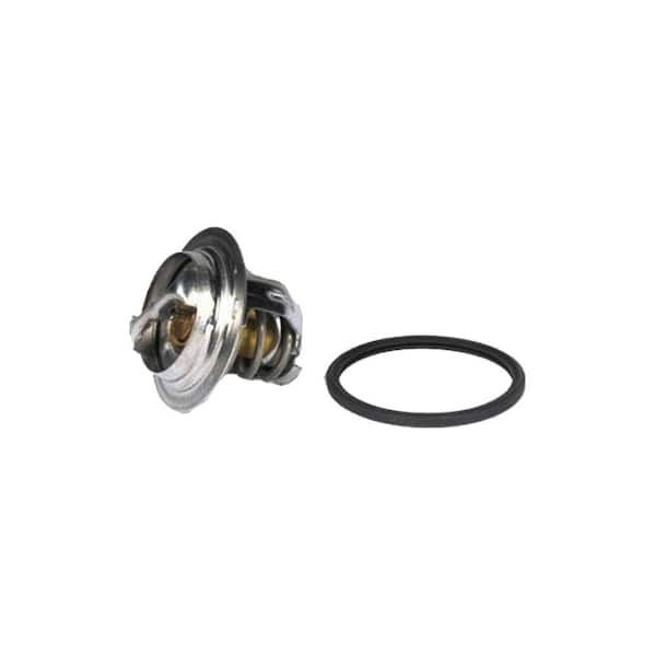 Thermostat Kit