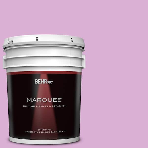 BEHR MARQUEE 5 gal. #P110-3 BFF Flat Exterior Paint & Primer