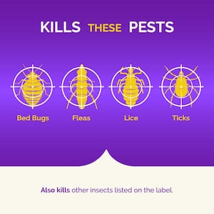 Bed Bug and Flea Killer Aerosol Fogger (3-Count)