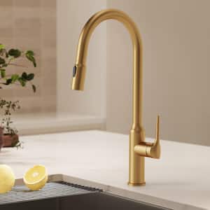 EVERSTEIN 19.8 in. H Single Handle Pull down Sprayer Kitchen