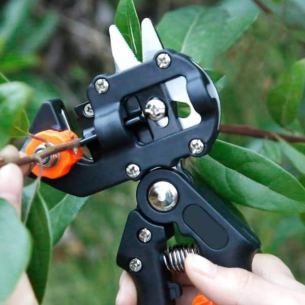 Garden Pruning Shears Handheld Scissors Tree Trimmers Fruit Picking Potted  Weed Gardening Tools Stainless Steel 2pcs - AliExpress