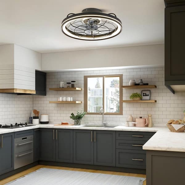 WDETR 19 in. Indoor Black Low Profile Caged Ceiling Fan with Lights with Remote Included