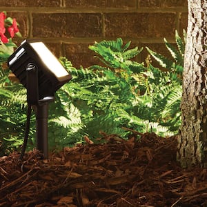 Plug-In Black Outdoor Integrated LED Landscape Flood Light