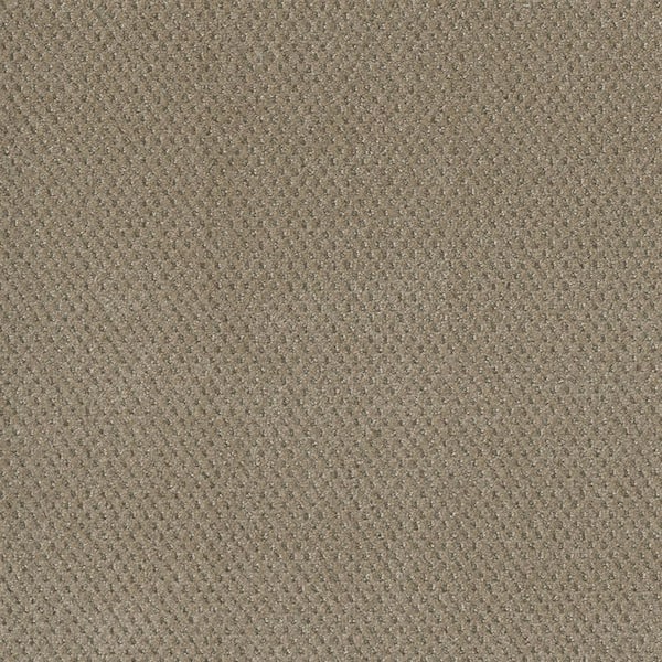 Fretboard-Ambient Beige-25 oz. SD Polyester Pattern Carpet - Installation Required
