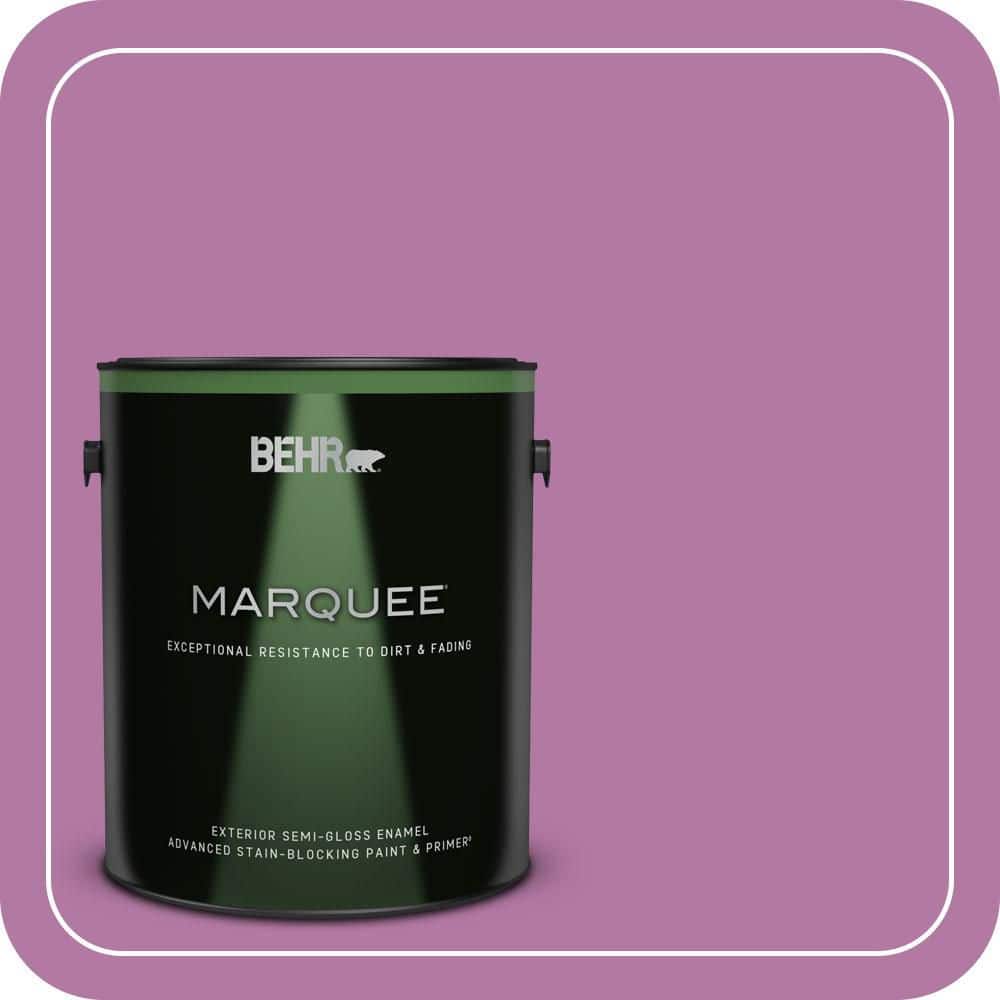 1 gal. Home Decorators Collection #HDC-SP16-11 Cactus Flower Semi-Gloss Enamel Exterior Paint & Primer price history on PriceWatchPro