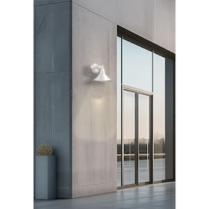 Bay Crest 1-Light Brushed Aluminum Outdoor Wall Lantern Sconce