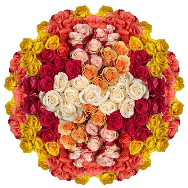 Globalrose 500 Stems of Assorted Roses Fresh Flower Delivery