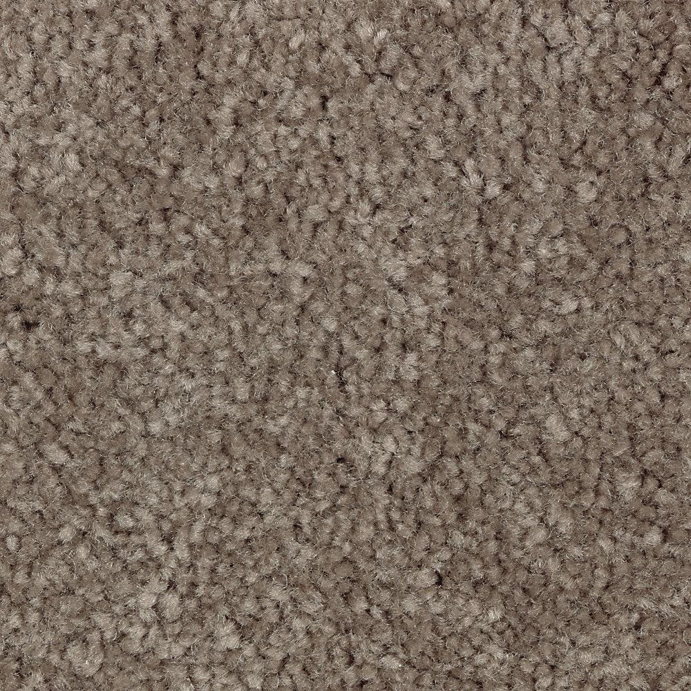 8 in. x 8 in. Texture Carpet Sample - Mason I -Color Carolina price history on PriceWatchPro