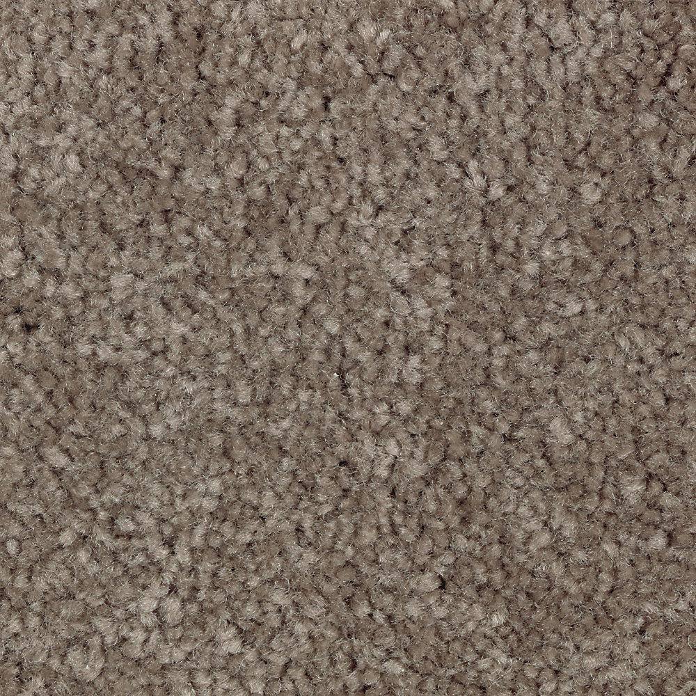 8 in. x 8 in. Texture Carpet Sample - Mason II -Color Carolina price history on PriceWatchPro