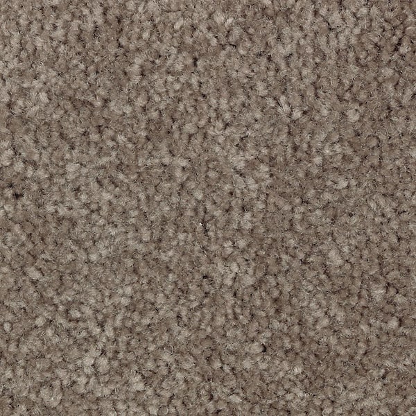 Lifeproof 8 in. x 8 in. Texture Carpet Sample - Mason II -Color Carolina