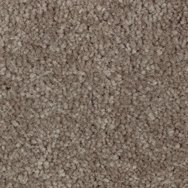 Lifeproof Mason I  - Carolina - Brown 35 oz. Triexta Texture Installed Carpet