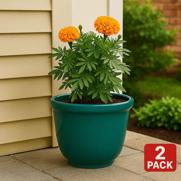 Vigoro 16 in. Dia Teal Resin Round Felicia Planter (2-Pack)
