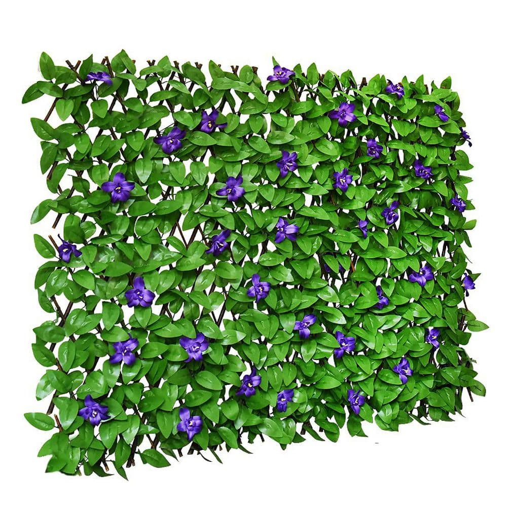 25 in. Wood Garden Fence, Expandable Fence Privacy Screen with Single Sided Leaves for Balcony, Patio, Garden (1-Pack) price history on PriceWatchPro