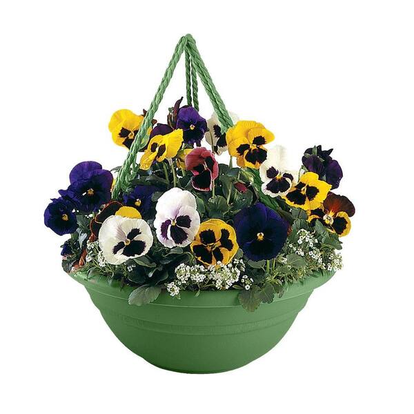 Bloem 17 in. Living Green Plastic Milano Hanging Basket (12-Pack)