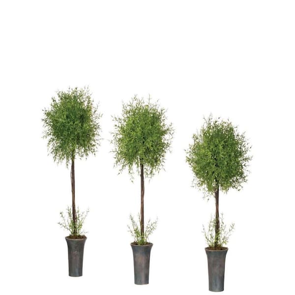 SULLIVANS 30 in., 26 in. and 23 in. Artificial Potted Feather Fern Topiary - (Set Of 3)