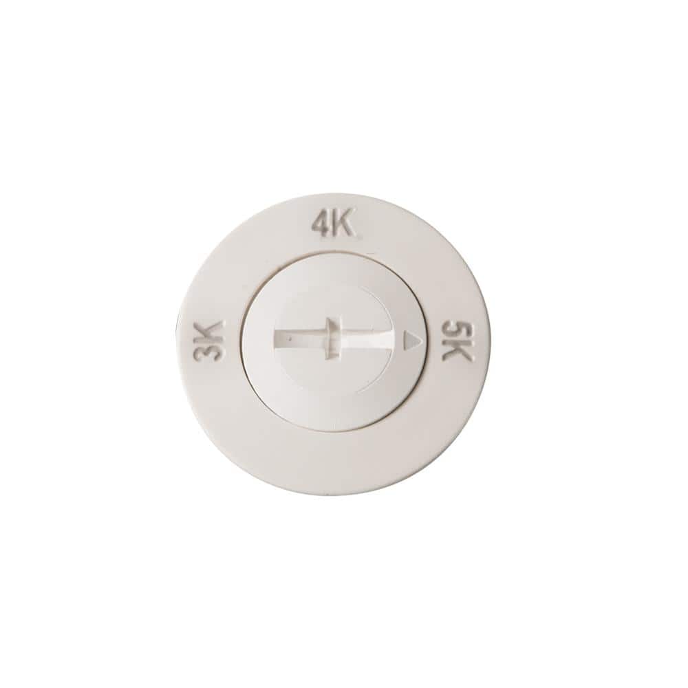 White Frosted Motion-Sensing Outdoor LED Floodlight