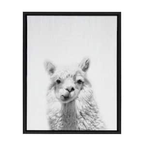 Sylvie "Alpaca Portrait" by Tai Prints Framed Canvas Wall Art