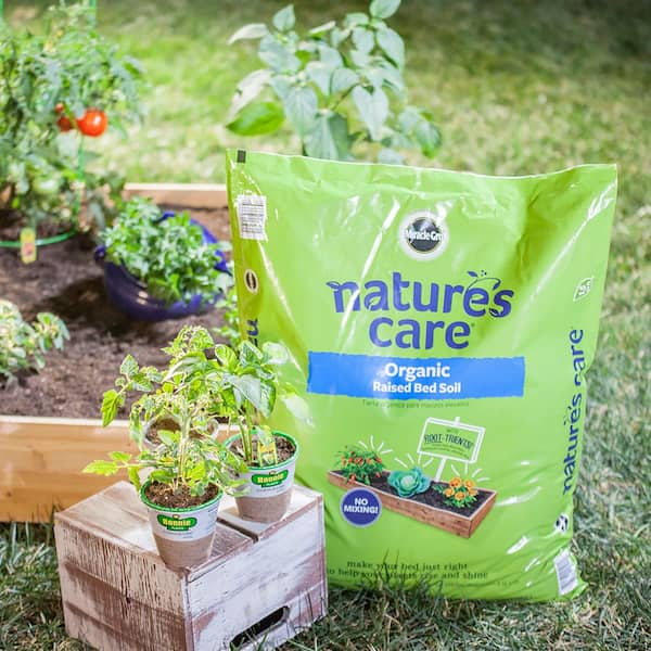  Elevate Your Nolina with Gardenera's Organic Soil