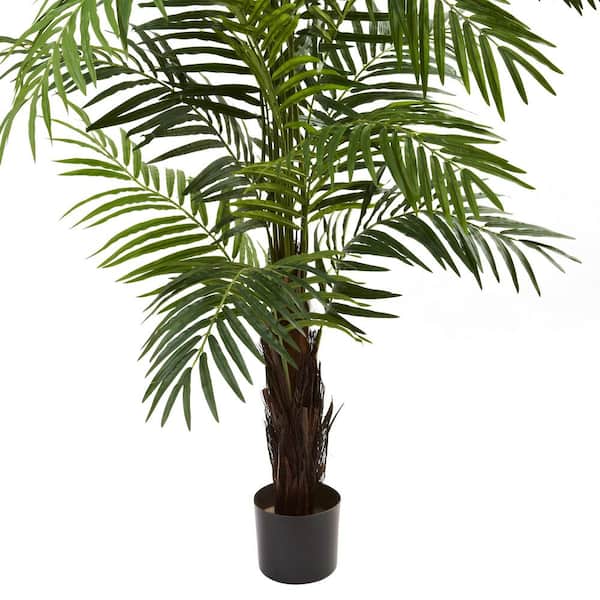 aloe vera plant pot Aloe, Bright Direct Sunlight, Indoor Live House Plants, Dcor Pot, Size: Small, Green main image 1