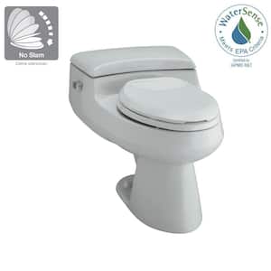 San Raphael Comfort Height 1-Piece 1 GPF Single Flush Elongated Toilet in Ice Grey, Seat Included