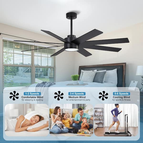 MLiAN 72 in. 8-Plywood Blades Indoor Black LED Ceiling Fan with