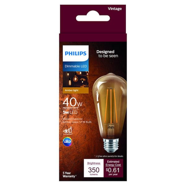 Philips 40-Watt Equivalent ST19 Dimmable Vintage Glass Edison LED Light Bulb Amber Warm White (2000K) (1-Pack) 556803 - Home Depot