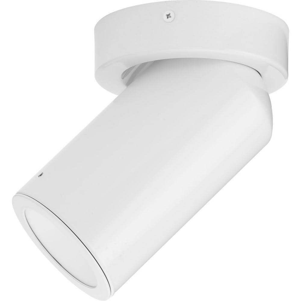 White Aluminum LED Indoor/Outdoor Flush Mount Light