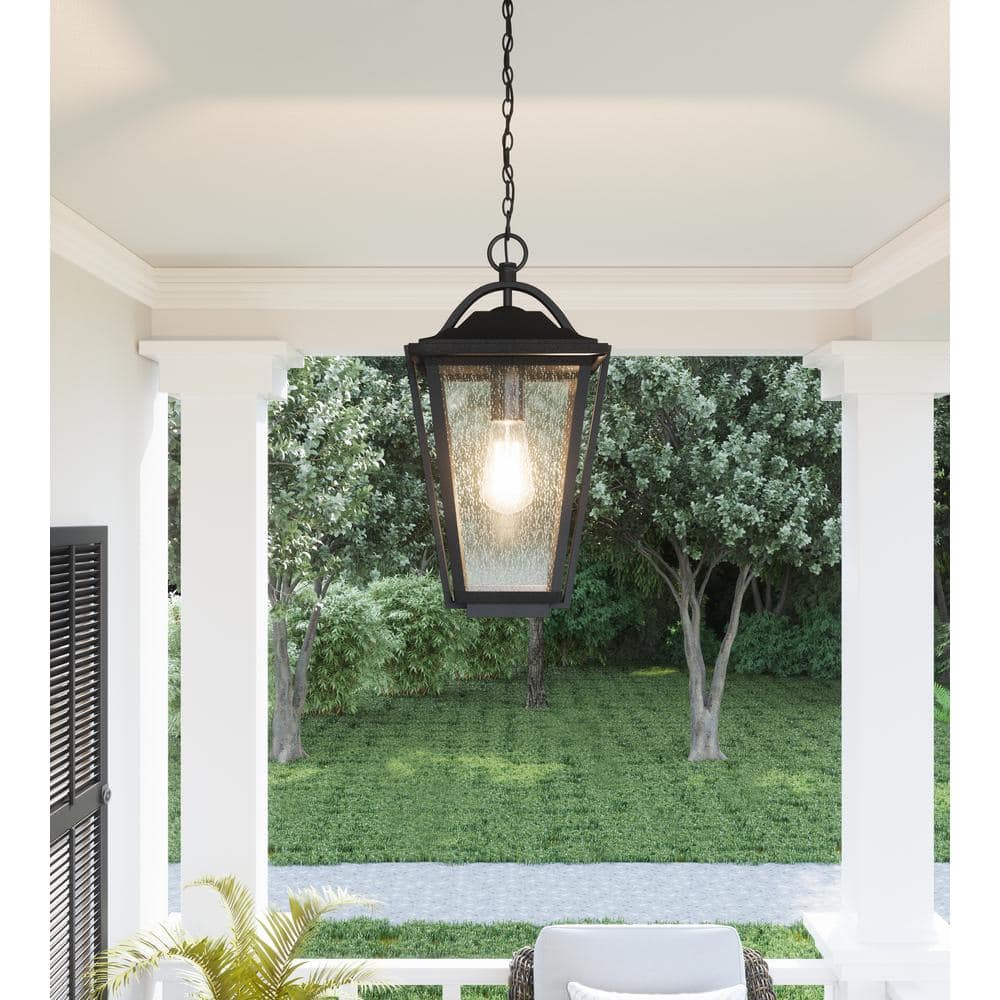Darius Black Glass Outdoor Hanging Lantern