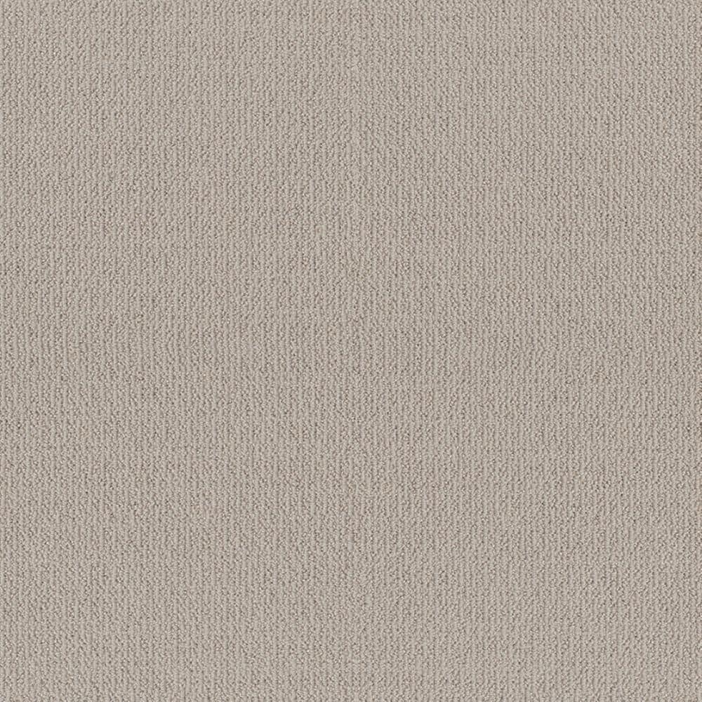 8 in. x 8 in. Loop Carpet Sample - Fresco Flow - Color Wild Rice price history on PriceWatchPro