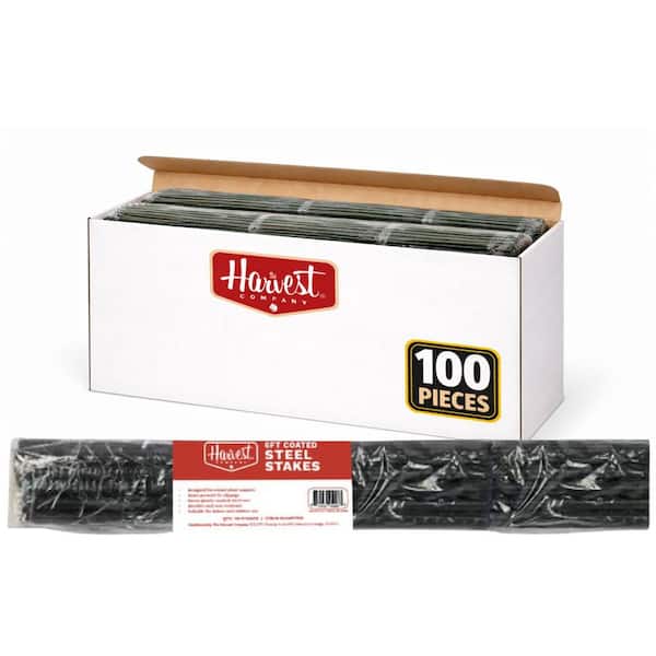 6 ft. Coated Steel Garden Stakes - 7/16 in. Dia (100-Pack)