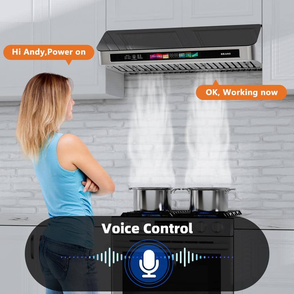 Stainless Steel 30-Inch Under Cabinet Range Hood with Voice Control