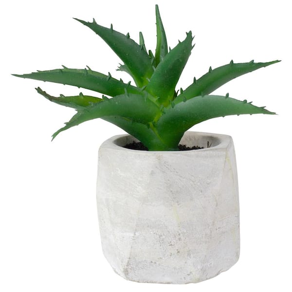 Northlight 6 in. Artificial Potted Aloe Succulent in Cement Pot