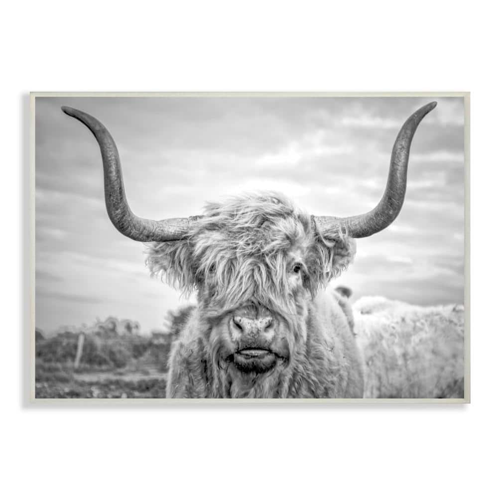 Joe Reynolds Black and White Highland Cow MDF Wall Art