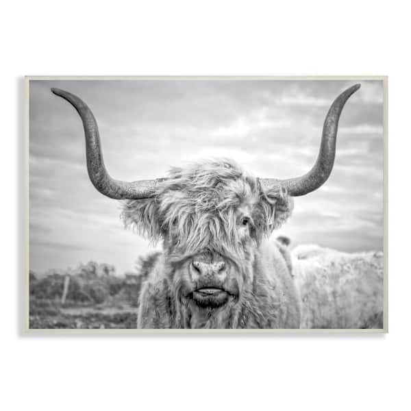 Stupell Industries 10 in. x 15 in. "Black and White Highland Cow Photograph" by Joe Reynolds Printed Wood Wall Art