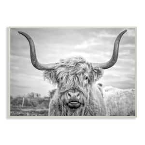 13 in. x 19 in. "Black and White Highland Cow Photograph" by Joe Reynolds Printed Wood Wall Art