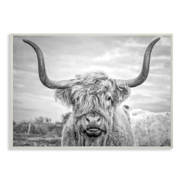 Stupell Industries 13 in. x 19 in. "Black and White Highland Cow Photograph" by Joe Reynolds Printed Wood Wall Art