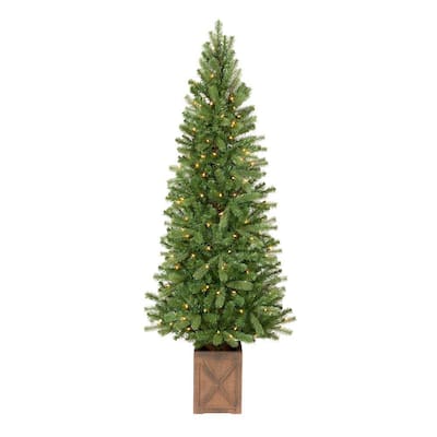 6.5 ft Blanton Douglas Fir Pre-Lit Potted Artificial Christmas Tree with 150 Clear Lights