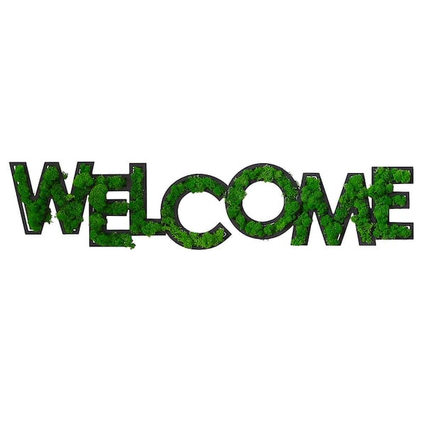 Unbranded 39.5 in.W x 8.7 in. H Metal Green Decorative Sign, WELCOME Letter Art Moss Wall Decor