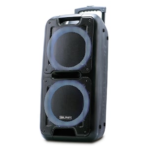 Dolphin Retrobox Black Portable Mini Bluetooth Speaker SP-411BT - BLK - The  Home Depot