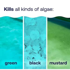 32 fl. oz. Pool Care Algae Prevention Algae Guard plus Ultra