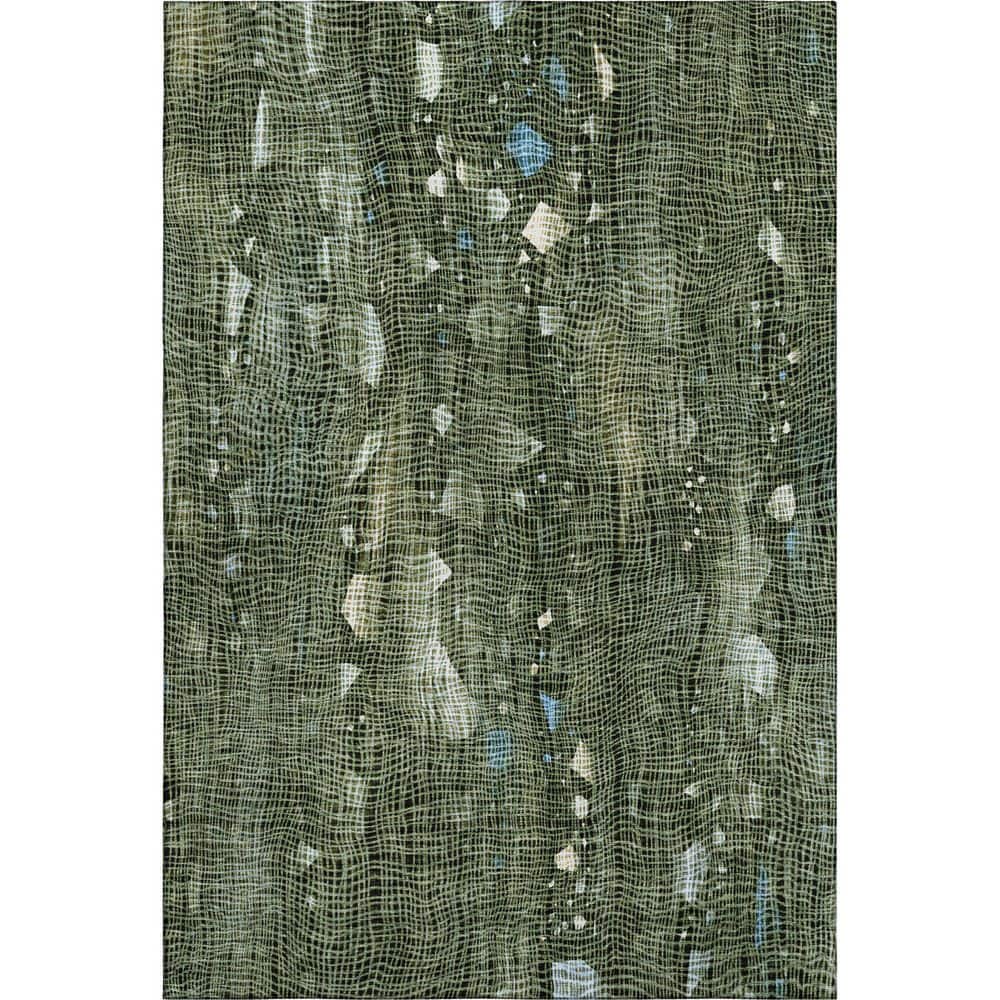 Mayfield Premium Machine Washable Abstract AMF2092 Fern 5 ft. x 7 ft. 6 in. Area Rug price history on PriceWatchPro