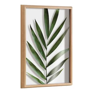 Botanical 5f by Amy Peterson Framed Nature Printed Glass Wall Art Print 24.00 in. x 18.00 in.