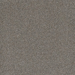 Trendy Threads Plus II - Elkhorn - Gray 48 oz. SD Polyester Texture Installed Carpet