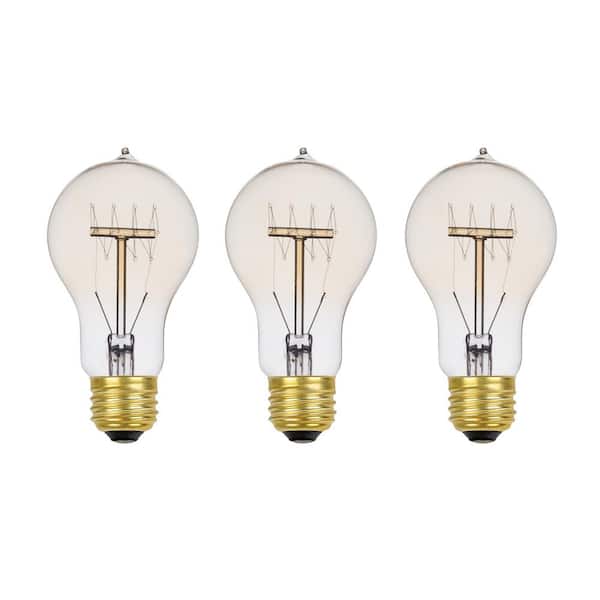 Globe Electric 60 Watt A19 Dimmable Cage Filament Vintage Edison Incandescent Light Bulb, Warm Candle Light (3-Pack)
