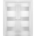 Sartodoors 60 in. x 80 in. Single Panel White Finished Pine Wood ...