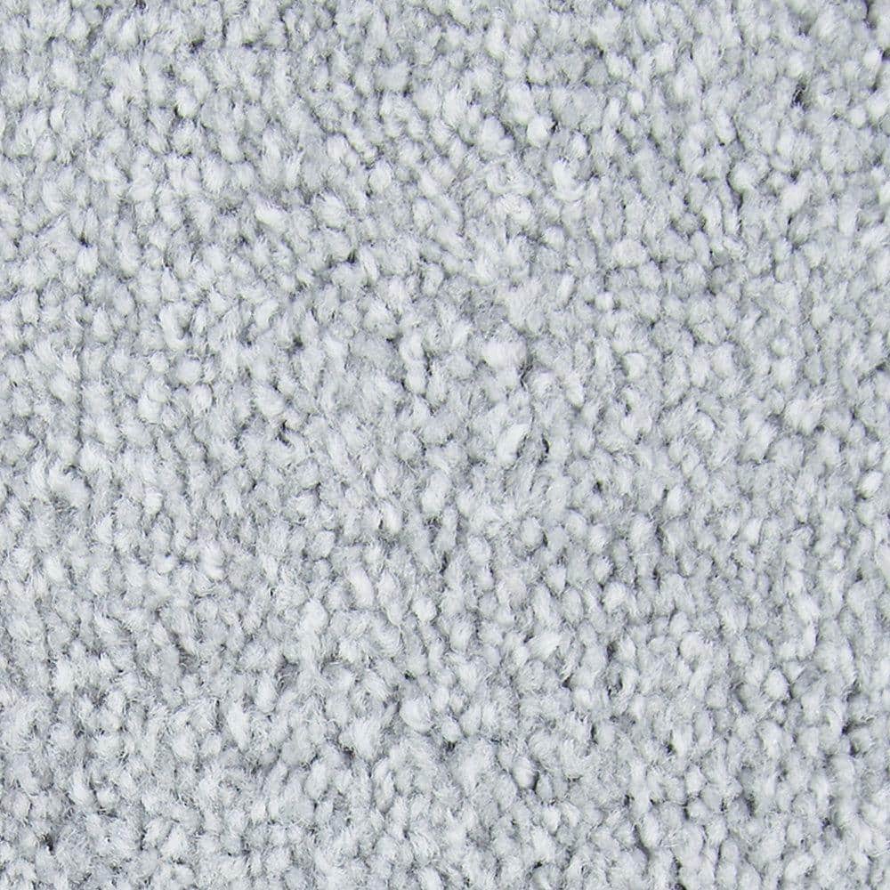 8 in. x 8 in. Texture Carpet Sample - Gentle Peace I -Color Prism price history on PriceWatchPro