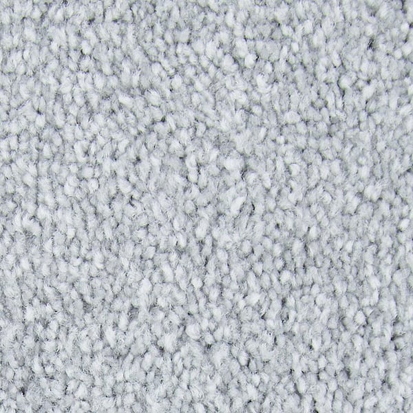 Lifeproof with Petproof Technology 8 in. x 8 in. Texture Carpet Sample - Gentle Peace II -Color Prism