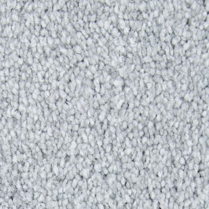 Gentle Peace II  - Prism - Gray 55 oz. Triexta Texture Installed Carpet