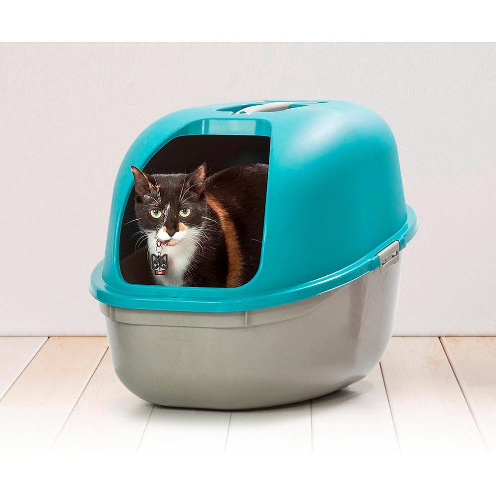 Turquoise and Gray Hooded Cat Litter Box with Scoop