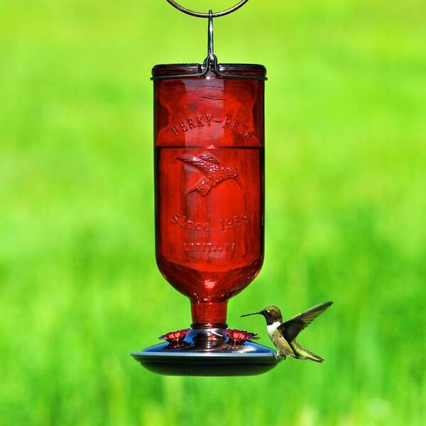 QUALITY Hummingbird Feeder with Hanging Iron Hook Garden Collection TWO 2 